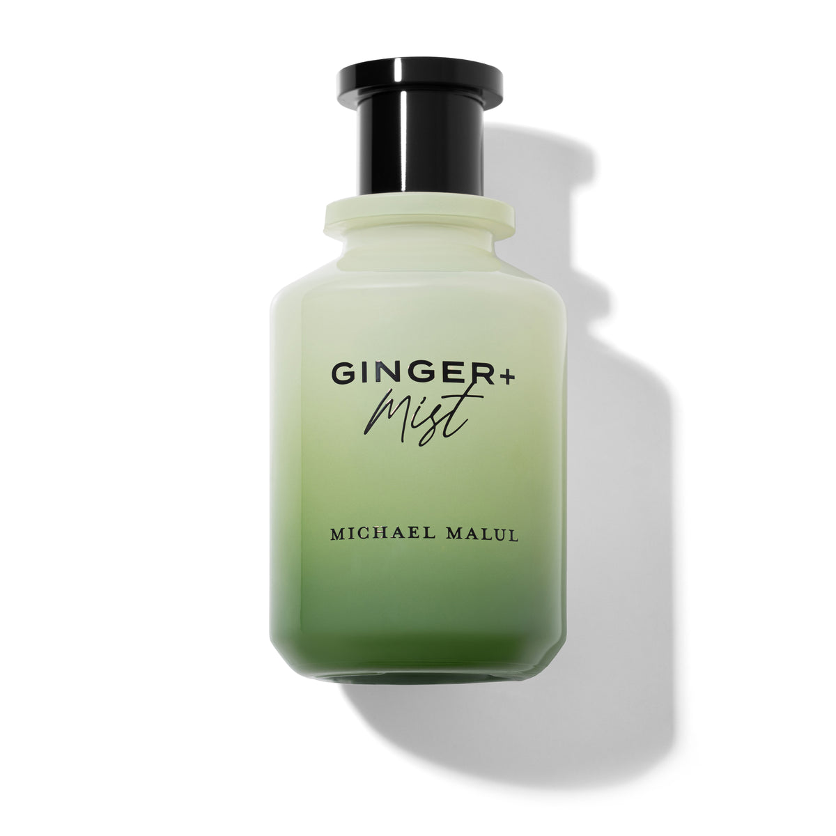 Ginger+Mist | Michael Malul