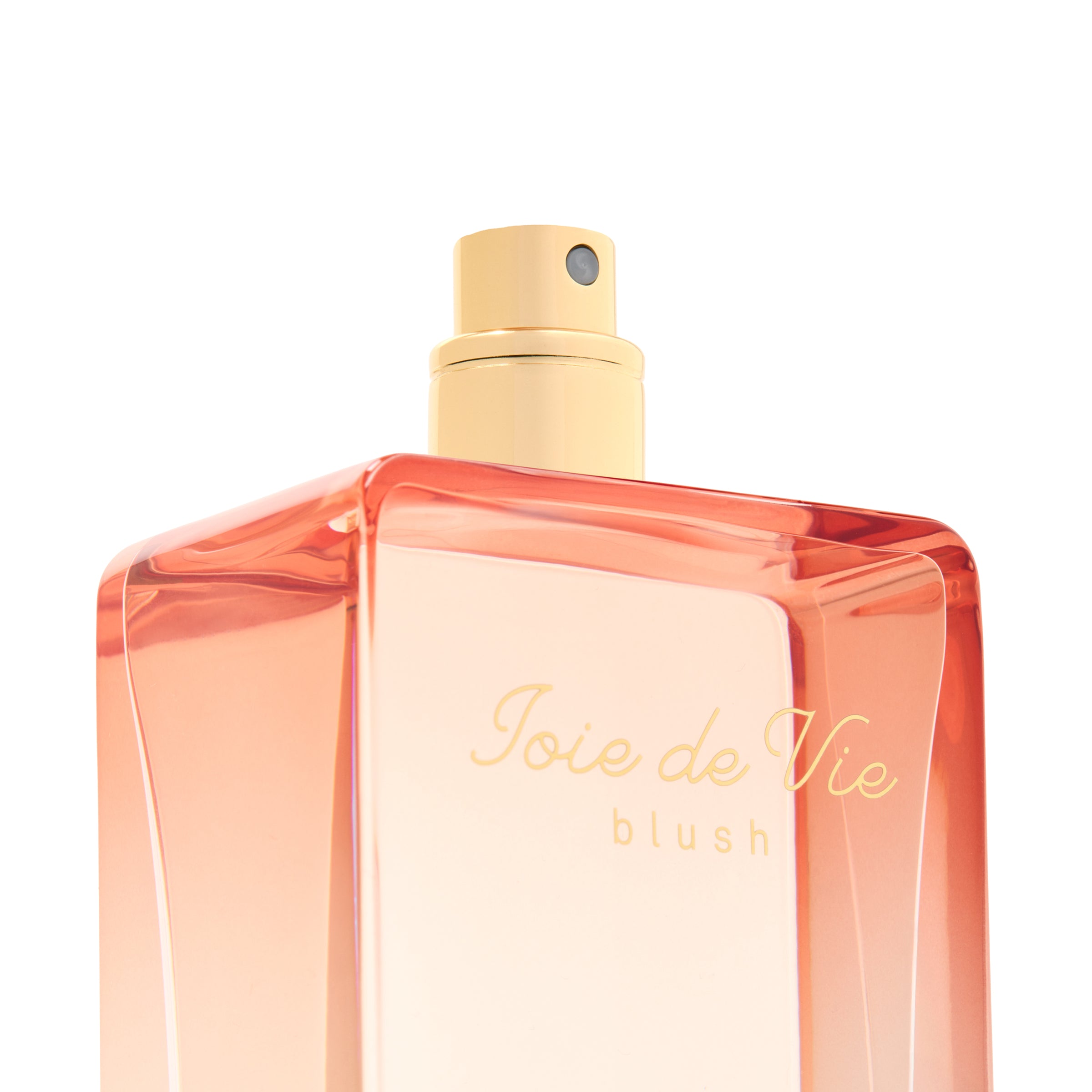 【試し使いのみ】JoieDeVieBlush by Michael Malul Joie de Vie Blush | Michael Malul