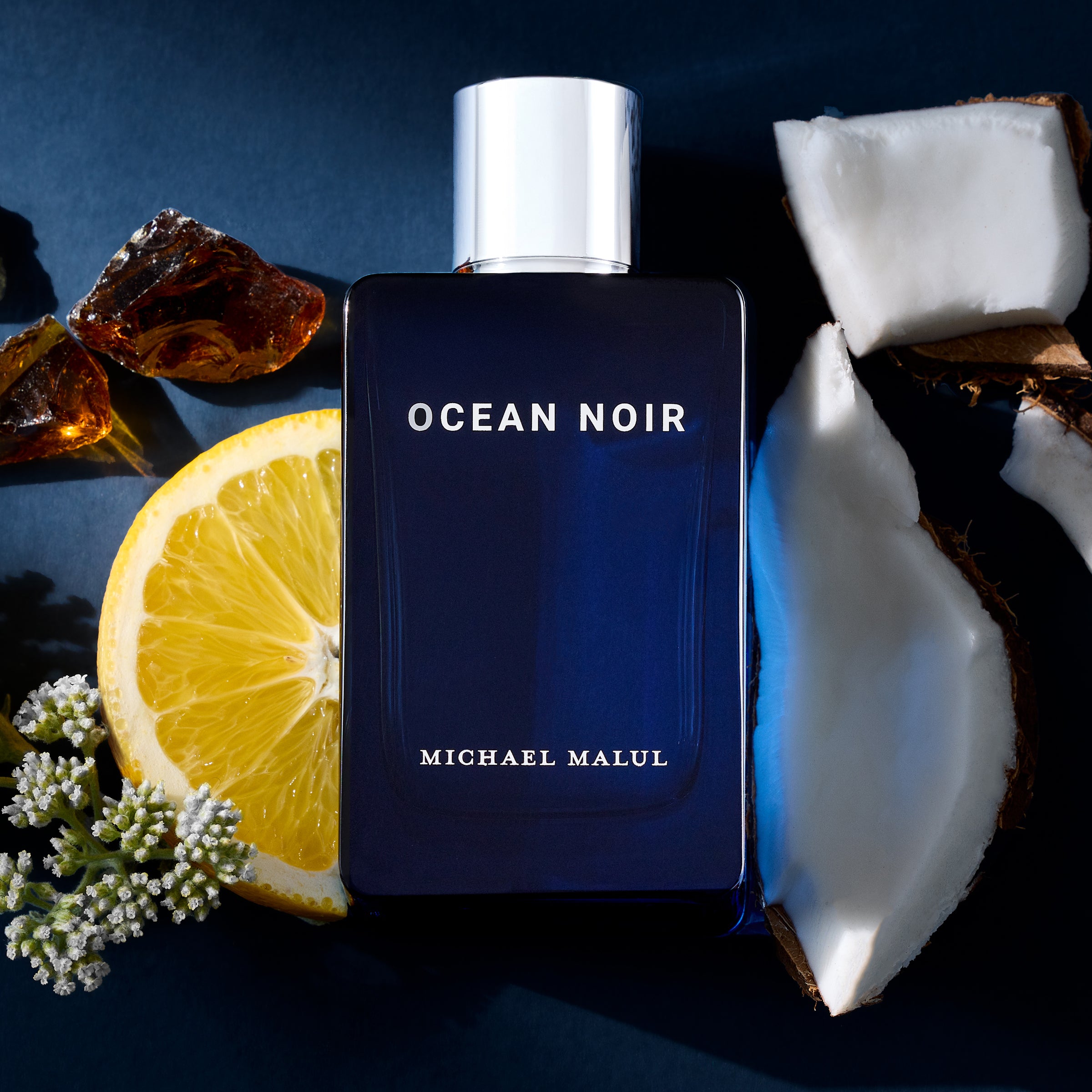 Ocean Noir | Michael Malul