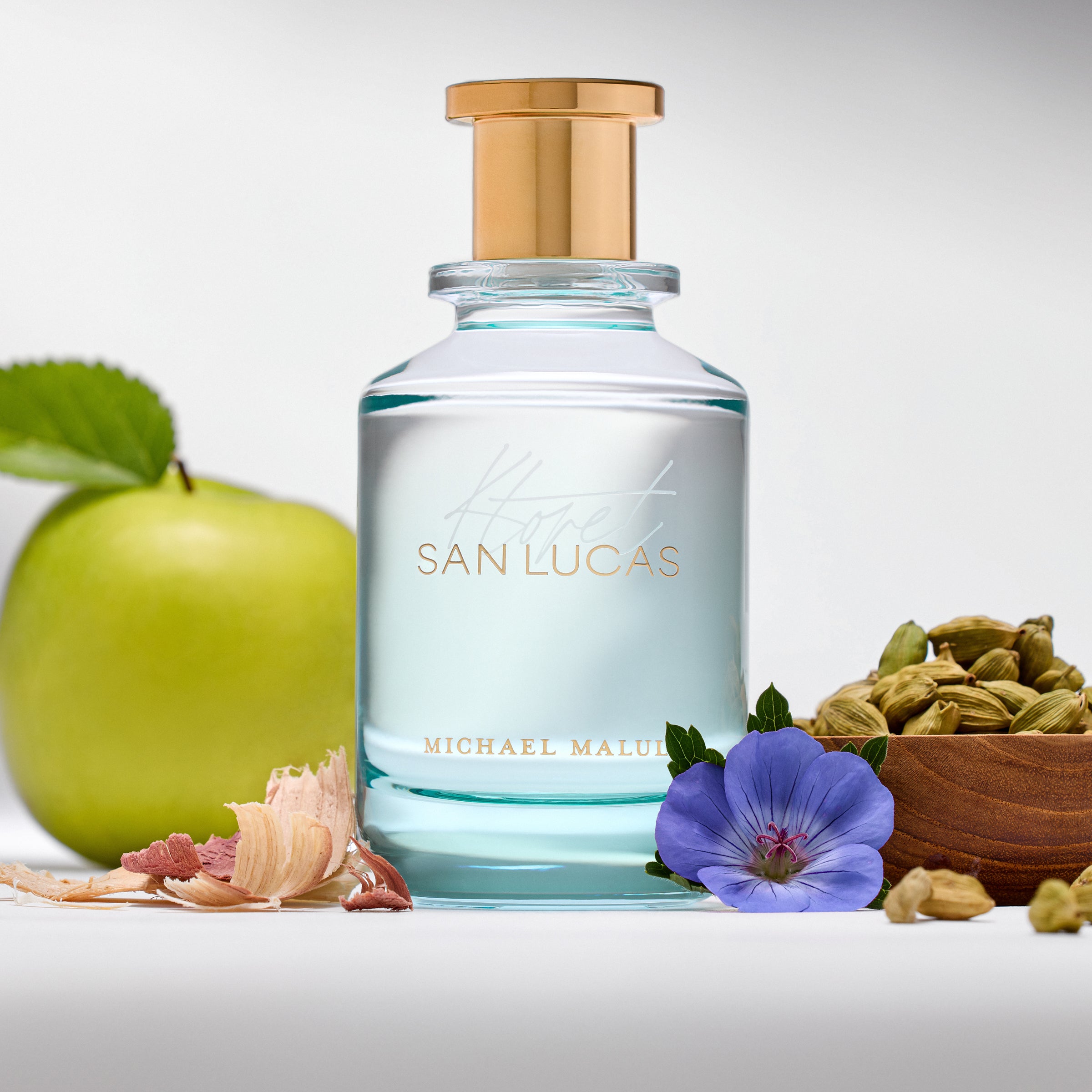 831 San Lucas | Michael Malul