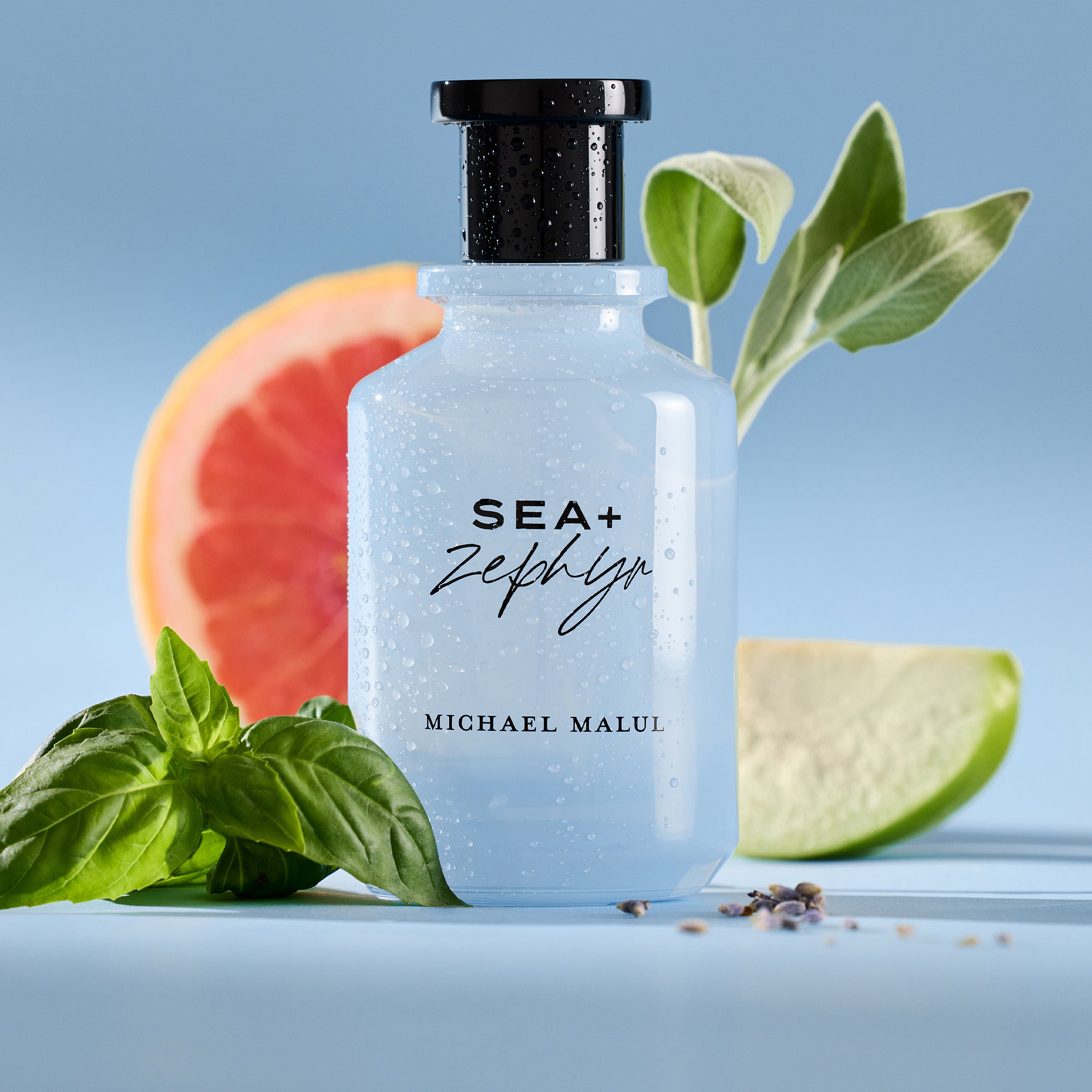 Sea+Zephyr | Michael Malul